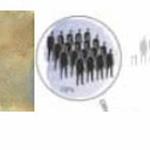 Jody Williams artists talk - March 18th